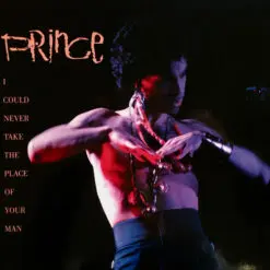 Prince - 1987 - I Could Never Take The Place Of Your Man [Maxi]