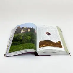 DK Eyewitness Companions knyga anglų kalba „Wines of the World” 3,5x14x22,5 cm