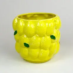 Keramikinis vazonas "Citrinos" 18x18x16 cm
