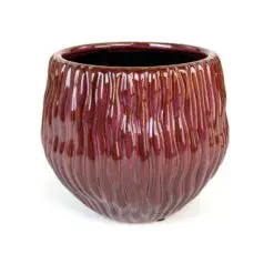 Keramikinis burgundiškos spalvos vazonas 18x18x16 cm