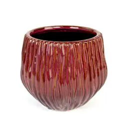 Keramikinis burgundiškos spalvos vazonas 15x15x13,5 cm