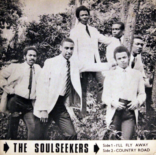 The Soulseekers vinyl I´ll Fly Away