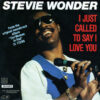 Stevie Wonder vinyl single I Just Called To Say I Love You