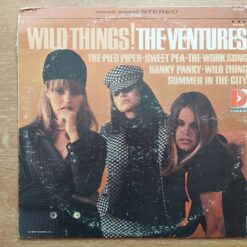 Ventures – 1966 – Wild Things!