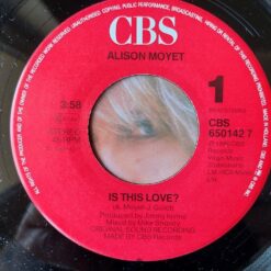 Alison Moyet – 1986 – Is This Love?