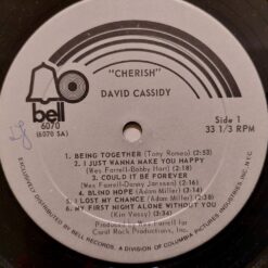 David Cassidy – 1972 – Cherish