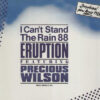 Eruption Featuring Precious Wilson - 1988 - I Can't Stand The Rain 88