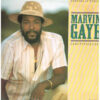 Marvin Gaye - 1985 - Sanctified Lady