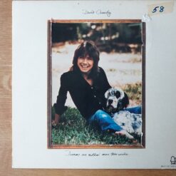 David Cassidy – 1973 – Dreams Are Nuthin’ More Than Wishes…
