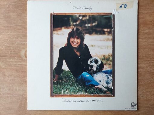 David Cassidy – 1973 – Dreams Are Nuthin’ More Than Wishes…