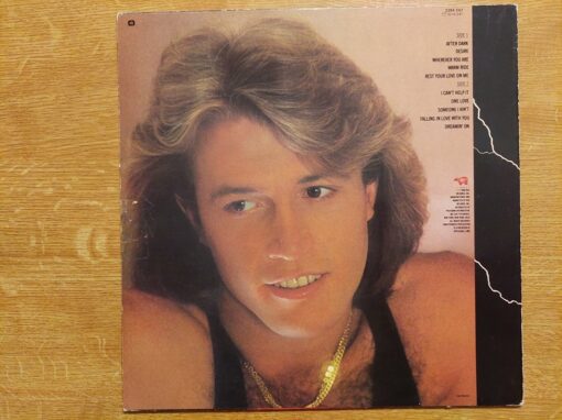 Andy Gibb – 1980 – After Dark