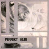 Perfekt Alibi - Perfekt Alibi