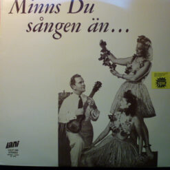 Yngve Stoor's Orkester - 1976 - Minns Du Sången Än?