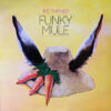 Ike Turner - 1975 - Funky Mule