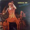 Vinegar Joe - 1973 - Rock 'N Roll Gypsies