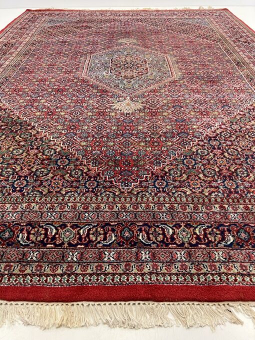 “Indo Bidjar” rankų darbo kilimas 250×350 cm