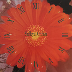 Shelleyan Orphan – 1989 – Century Flower