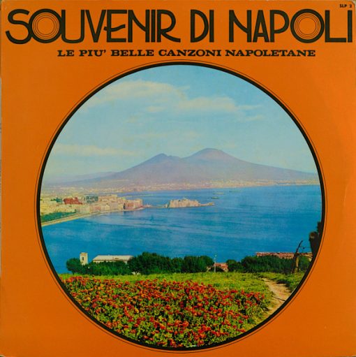 Quartetto A. Plettro - Souvenir Di Napoli - Le Più Belle Canzoni Napoletane