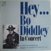 Bo Diddley with Mainsqueeze - Hey... Bo Diddley In Concert