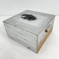Dėžė 46x20x57 cm