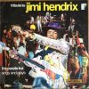 The Purple Fox - Tribute To Jimi Hendrix