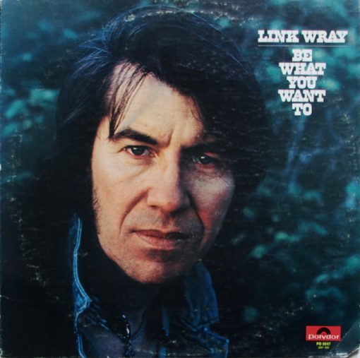 Link Wray - Be What You Want To