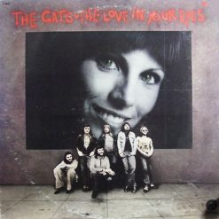 The Cats - The Love In Your Eyes