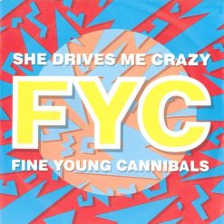 Fine Young Cannibals - She Drives Me Crazy