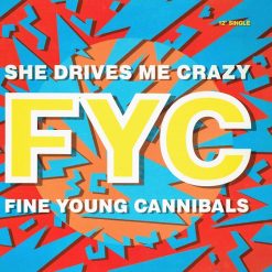 Fine Young Cannibals - She Drives Me Crazy