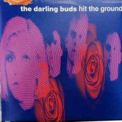 Darling Buds – Hit The Ground