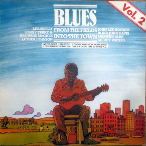 Various – Blues - From The Fields Into The Town Vol.2