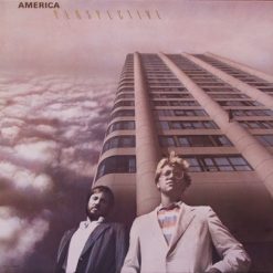 America – 1984 – Perspective