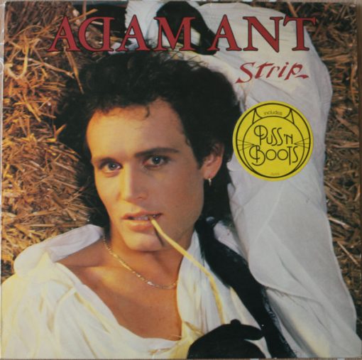 Adam Ant – Strip