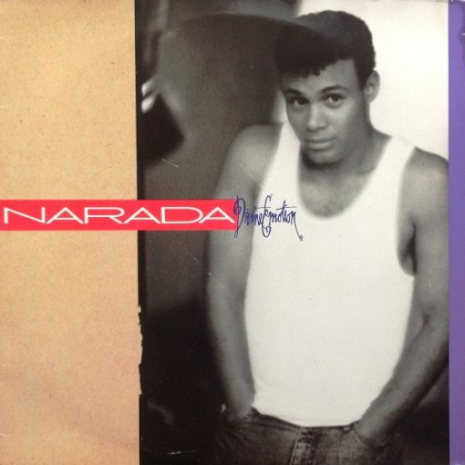 Narada Michael Walden – 1988 – Divine Emotion