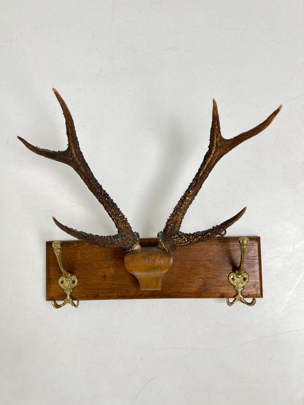 DJ0089-kabyklos-lentynos-stovai-1 Ąžuolinė sieninė kabykla su gyvūno ragais ir žalvariniais kabliukais 22×47,5×41 cm