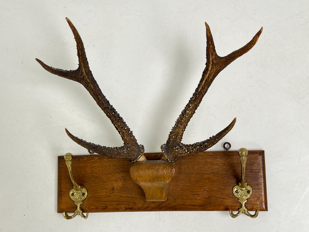 DJ0089-kabyklos-lentynos-stovai-2 Ąžuolinė sieninė kabykla su gyvūno ragais ir žalvariniais kabliukais 22×47,5×41 cm