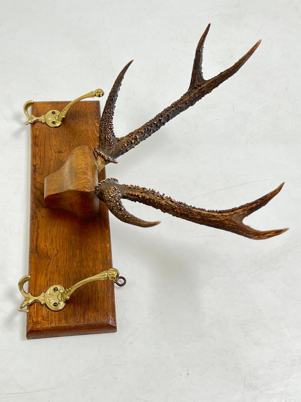 DJ0089-kabyklos-lentynos-stovai-4 Ąžuolinė sieninė kabykla su gyvūno ragais ir žalvariniais kabliukais 22×47,5×41 cm