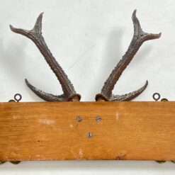 Ąžuolinė sieninė kabykla su gyvūno ragais ir žalvariniais kabliukais 22×47,5×41 cm