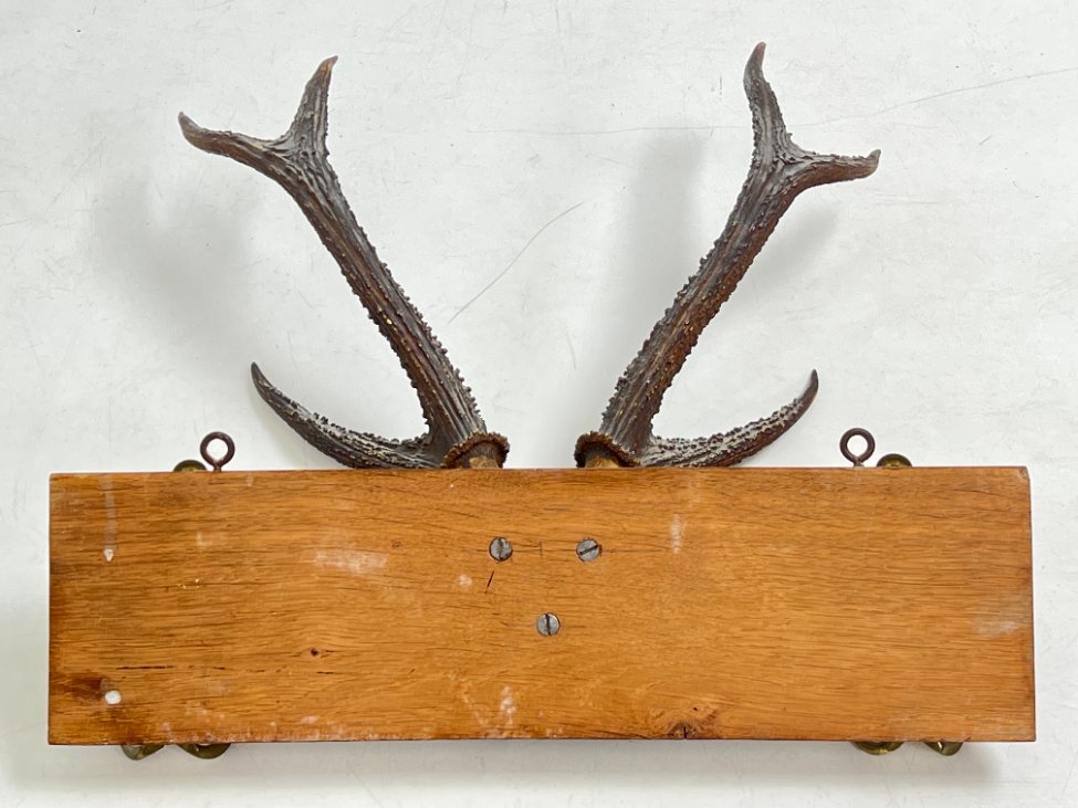 DJ0089-kabyklos-lentynos-stovai-7 Ąžuolinė sieninė kabykla su gyvūno ragais ir žalvariniais kabliukais 22×47,5×41 cm