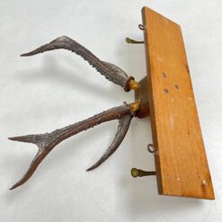 Ąžuolinė sieninė kabykla su gyvūno ragais ir žalvariniais kabliukais 22×47,5×41 cm