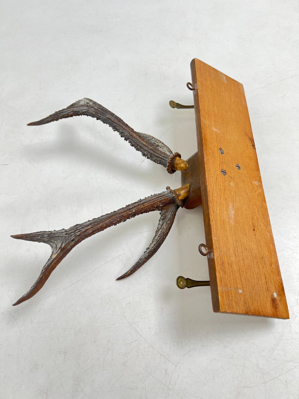 DJ0089-kabyklos-lentynos-stovai-8 Ąžuolinė sieninė kabykla su gyvūno ragais ir žalvariniais kabliukais 22×47,5×41 cm