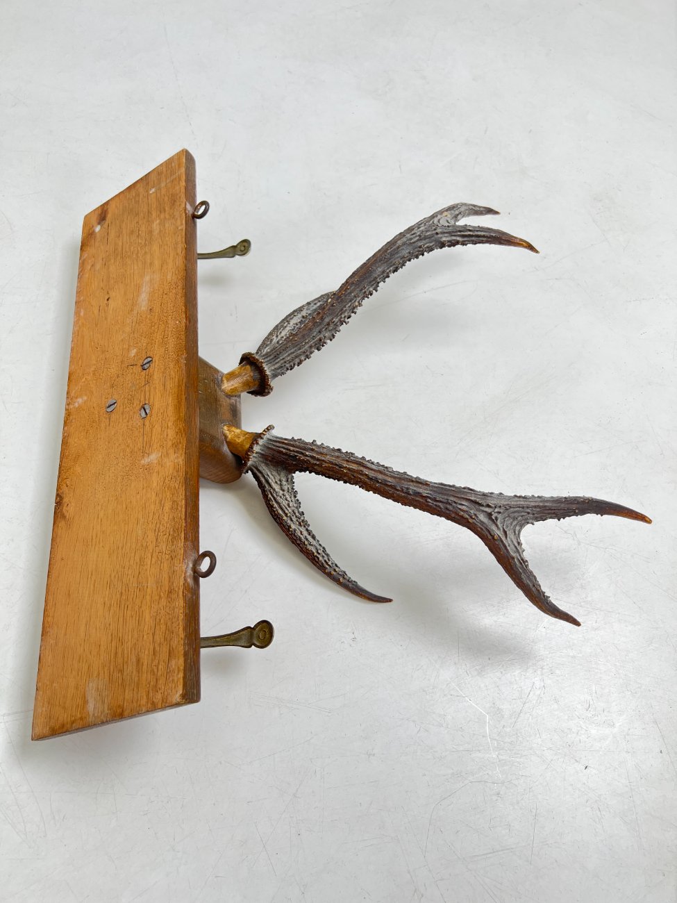 DJ0089-kabyklos-lentynos-stovai-9 Ąžuolinė sieninė kabykla su gyvūno ragais ir žalvariniais kabliukais 22×47,5×41 cm