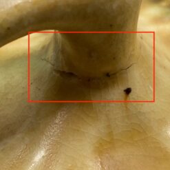 Keramikinis “Faiencerie Thulin” indas su dangčiu 13x13x10 cm