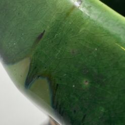 Keramikinė “Faiencerie Thulin” vaza 9,5x14x19 cm