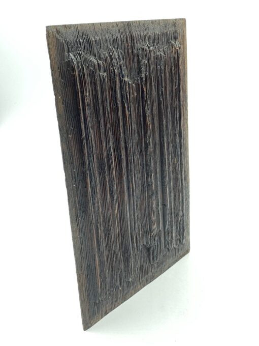 Ąžuolinė sieninė dekoracija 1,5×22,5×36 cm