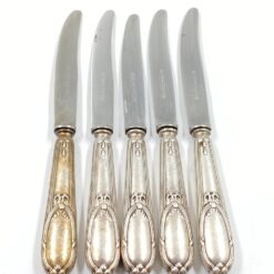Nerūdijančio plieno peiliai 5 vnt. komplektas 2x21x1,5 cm