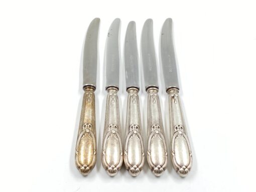 Nerūdijančio plieno peiliai 5 vnt. komplektas 2x21x1,5 cm