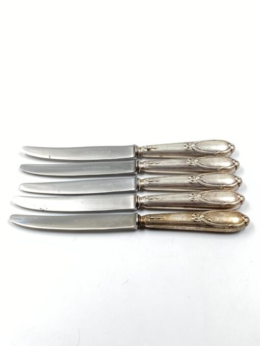 Nerūdijančio plieno peiliai 5 vnt. komplektas 2x21x1,5 cm