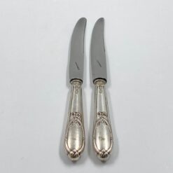 Nerūdijančio plieno peiliai 2 vnt. komplektas 2x25x2 cm