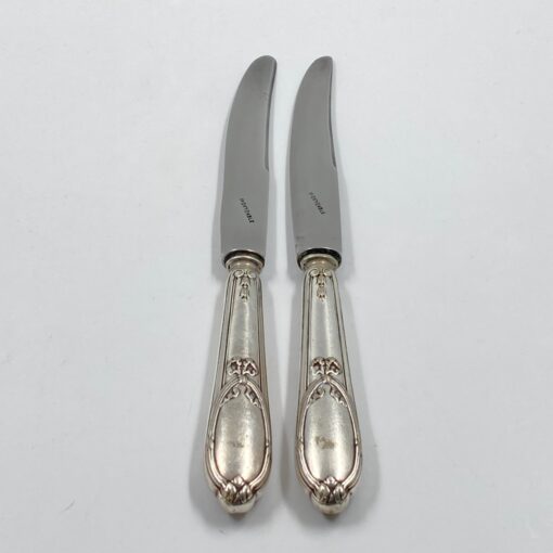 Nerūdijančio plieno peiliai 2 vnt. komplektas 2x25x2 cm